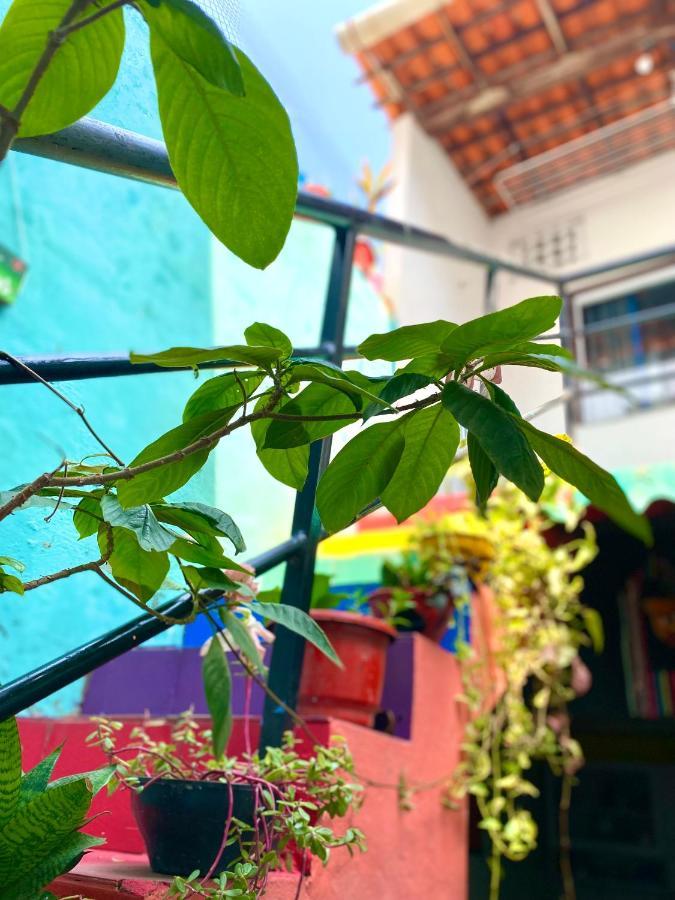 Casa Guarnice Hostel São Luís Dış mekan fotoğraf